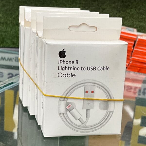 iPhone 8 Lightning to USB Cable
